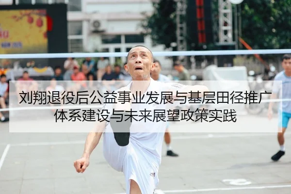 刘翔退役后公益事业发展与基层田径推广体系建设与未来展望政策实践
