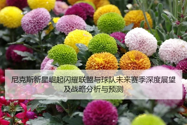 ni-ke-si-xin-xing-jue-qi-shan-yao-lian-meng-yu-qiu-dui-wei-lai-sai-ji-shen-du-zhan-wang-ji-zhan-lve-fen-xi-yu-yu-ce-2-978.jpg