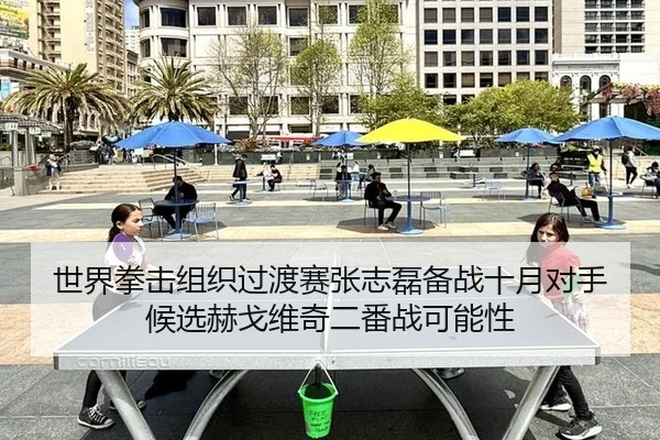 世界拳击组织过渡赛张志磊备战十月对手候选赫戈维奇二番战可能性