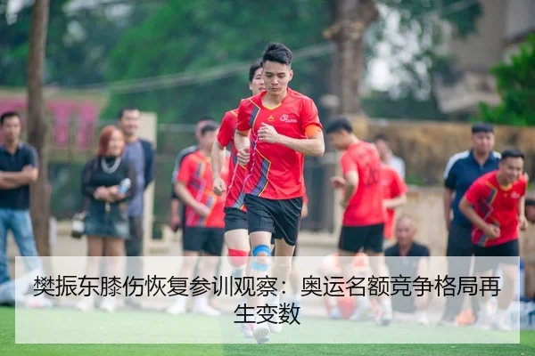 樊振东膝伤恢复参训观察：奥运名额竞争格局再生变数